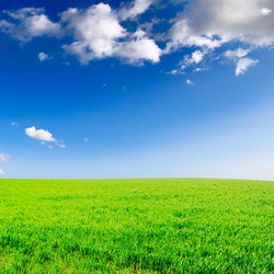 Similar image 1560309