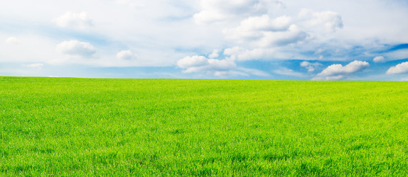 Similar image 1560322