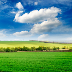 Similar image 1560329