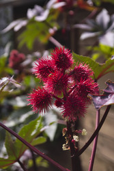 Similar image 1560390