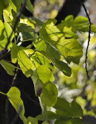 Similar image 1560391