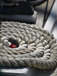 Similar image 1560472