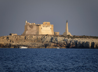 Similar image 1560474