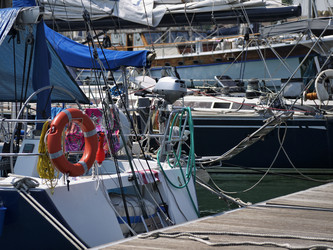 Similar image 1560484