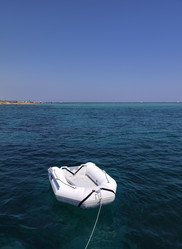 Similar image 1560499