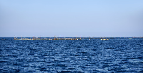 Similar image 1560501