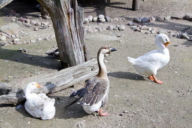 Similar image 1560703