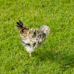 Similar image 1560707