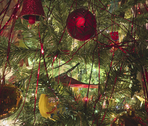 Similar image 1560786