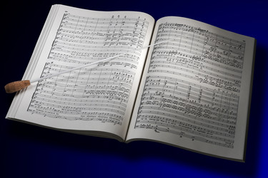 Similar image 1560805