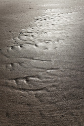 Similar image 1560843