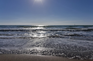 Similar image 1560845