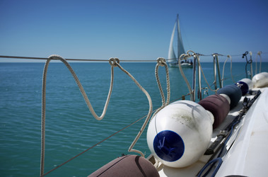 Similar image 1560896