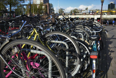 Similar image 1560925