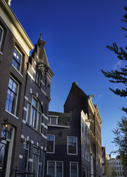 Similar image 1561003