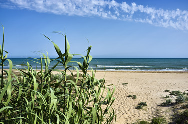 Similar image 1561045