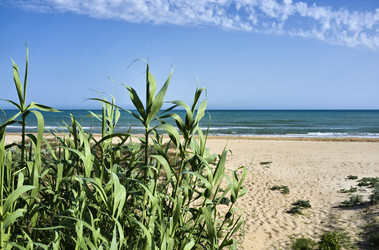 Similar image 1561053