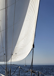 Similar image 1561057