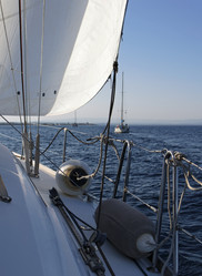 Similar image 1561066