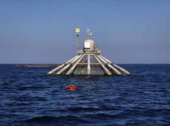 Similar image 1561071