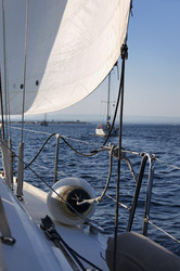 Similar image 1561073