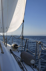 Similar image 1561074