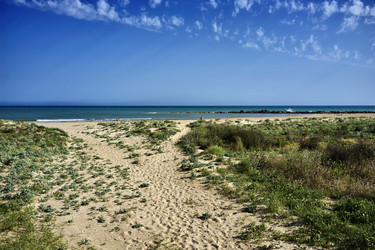 Similar image 1561078