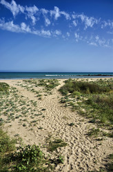 Similar image 1561079