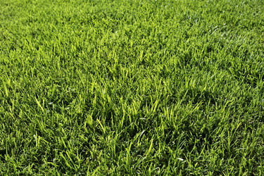 Similar image 1561081