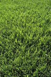 Similar image 1561083