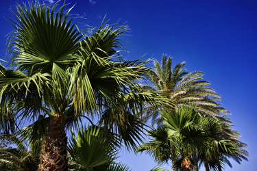 Similar image 1561084