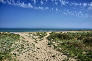 Similar image 1561085