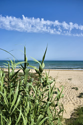 Similar image 1561088