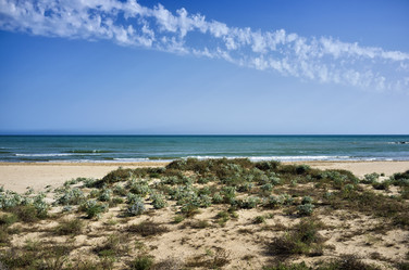 Similar image 1561090