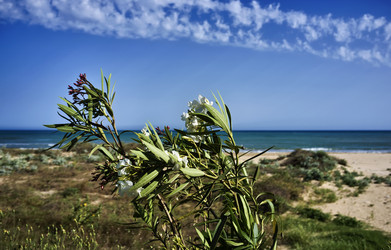 Similar image 1561092