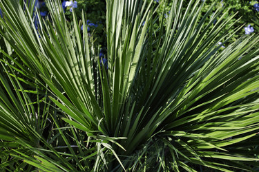 Similar image 1561094