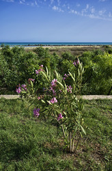 Similar image 1561096