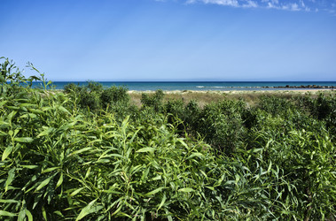 Similar image 1561111