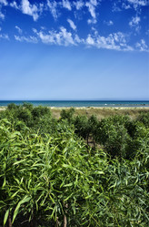 Similar image 1561113