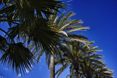 Similar image 1561114