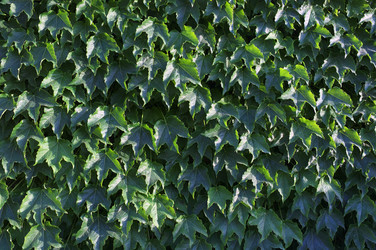 Similar image 1561135