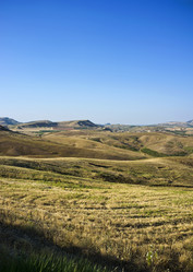 Similar image 1561150