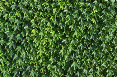 Similar image 1561149