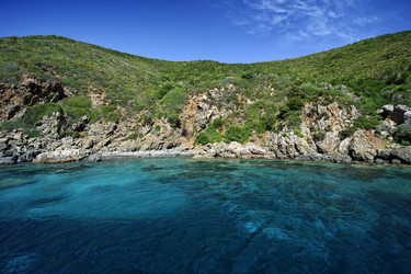 Similar image 1561155