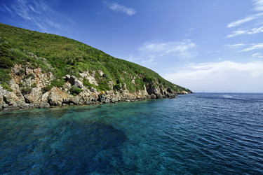 Similar image 1561157