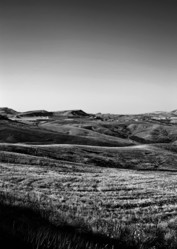 Similar image 1561164