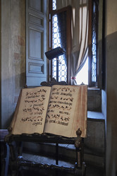 Similar image 1561173