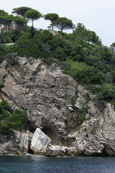 Similar image 1561191