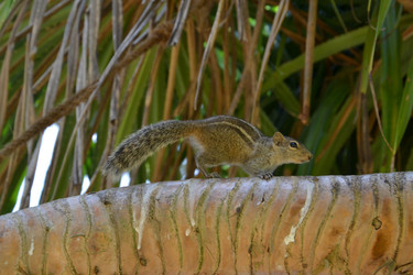 Similar image 1561214