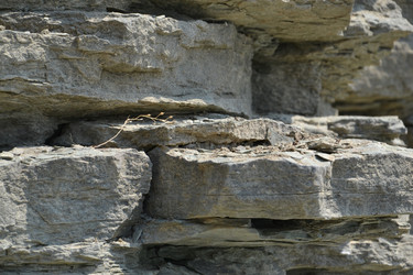 Similar image 1561235